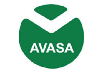Logo de AGENCIAS VASSALI
