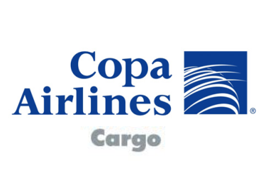 Logo de COPA CARGO ARGENTINA