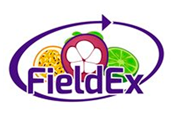 Logo de FIELDEX, S.A.S    FRUIT EXPORTER