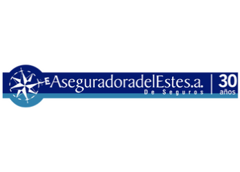 Logo de Aseguradora del Este, S.A