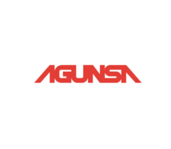 Logo de AGUNSA