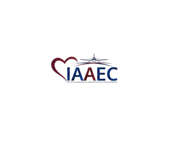 Logo de AEROPUERTO INTERNACIONAL ARTURO MICHELENA